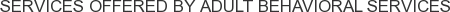 About Adult Behavioral Services