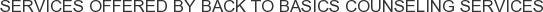About Back To Basics Counseling Services