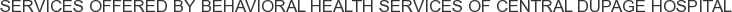 About Behavioral Health Services of Central DuPage Hospital