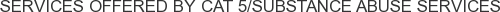 About CAT 5/Substance Abuse Services