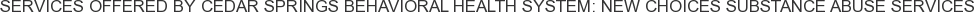 About Cedar Springs Behavioral Health System: New Choices Substance Abuse Services