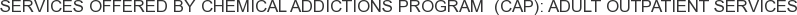 About Chemical Addictions Program (CAP): Adult Outpatient Services