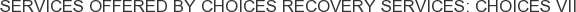 About Choices Recovery Services: Choices VII
