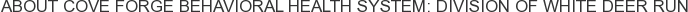 About Cove Forge Behavioral Health System: Division of White Deer Run