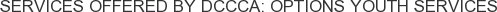 About DCCCA: Options Youth Services