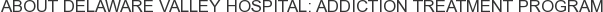 About Delaware Valley Hospital: Addiction Treatment Program