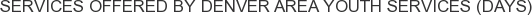 About Denver Area Youth Services (DAYS)
