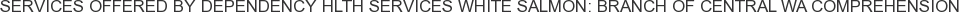 About Dependency Hlth Services White Salmon: Branch of Central WA Comprehension