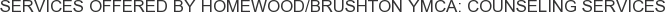 About Homewood/Brushton YMCA: Counseling Services