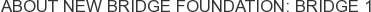 About New Bridge Foundation: Bridge 1