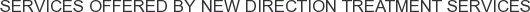 About New Direction Treatment Services