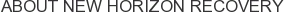 About New Horizon Recovery