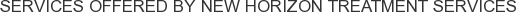 About New Horizon Treatment Services