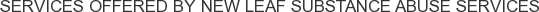 About New Leaf Substance Abuse Services