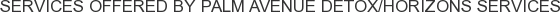 About Palm Avenue Detox/Horizons Services