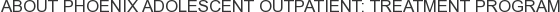 About Phoenix Adolescent Outpatient: Treatment Program