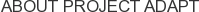 About Project Adapt