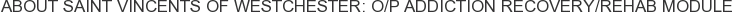 About Saint Vincents of Westchester: O/P Addiction Recovery/Rehab Module