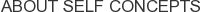 About Self Concepts