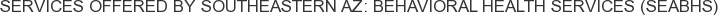 About Southeastern AZ: Behavioral Health Services (SEABHS)