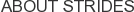 About Strides