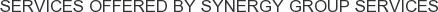 About Synergy Group Services