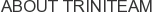 About Triniteam