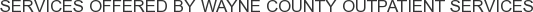 About Wayne County Outpatient Services