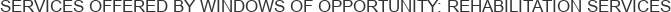 About Windows of Opportunity: Rehabilitation Services