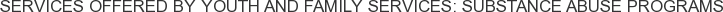 About Youth and Family Services: Substance Abuse Programs