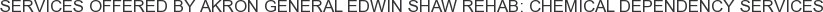 Services offered by Akron General Edwin Shaw Rehab: Chemical Dependency Services