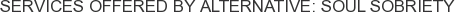 Services offered by Alternative: Soul Sobriety