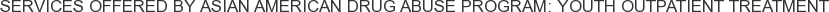 Services offered by Asian American Drug Abuse Program: Youth Outpatient Treatment