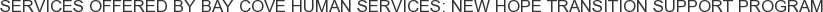 Services offered by Bay Cove Human Services: New Hope Transition Support Program