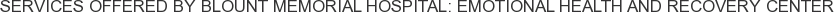 Services offered by Blount Memorial Hospital: Emotional Health and Recovery Center
