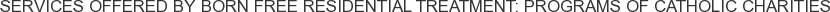 Services offered by Born Free Residential Treatment: Programs of Catholic Charities