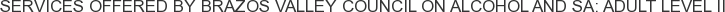 Services offered by Brazos Valley Council on Alcohol and SA: Adult Level II