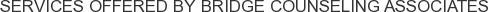 Services offered by Bridge Counseling Associates