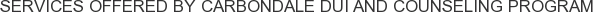 Services offered by Carbondale DUI and Counseling Program