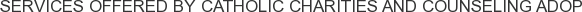 Services offered by Catholic Charities And Counseling Adop