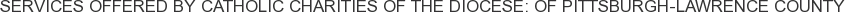 Services offered by Catholic Charities of the Diocese: of Pittsburgh-Lawrence County