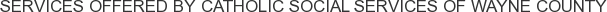 Services offered by Catholic Social Services of Wayne County