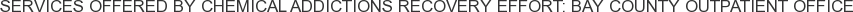 Services offered by Chemical Addictions Recovery Effort: Bay County Outpatient Office