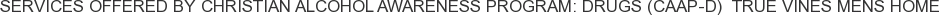 Services offered by Christian Alcohol Awareness Program: Drugs (CAAP-D) True Vines Mens Home