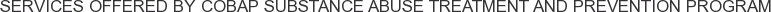 Services offered by COBAP Substance Abuse Treatment and Prevention Program