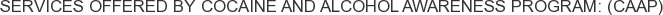 Services offered by Cocaine and Alcohol Awareness Program: (CAAP)