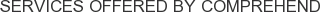 Services offered by Comprehend
