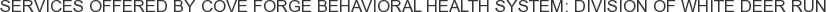 Services offered by Cove Forge Behavioral Health System: Division of White Deer Run