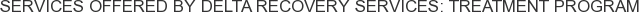 Services offered by Delta Recovery Services: Treatment Program
