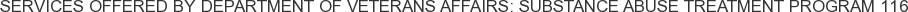 Services offered by Department of Veterans Affairs: Substance Abuse Treatment Program 116